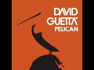 David Guetta - Pelican (Original Mix)