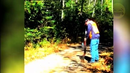 Смотреть смешные видео