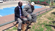 Resultado do treino intensivo de um cão para proteção de ataques com faca a humanos