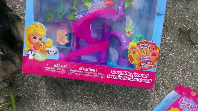 Zumi + Splashlings en La Playa Abriendo el Area de Juegos de Coral de Las Sirenas Cachorita DCTC