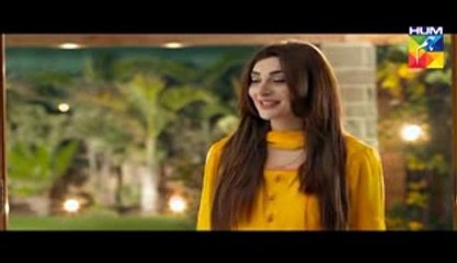 Mann Mayal Episode 17 HD Full Hum TV Drama 16 May 2016