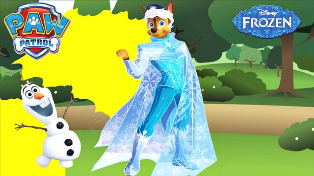 SUPERHERO PAW PATROL Skye & Chase Transform into SUPERGIRL & MALE ELSA _ Superhero Videos For Kids