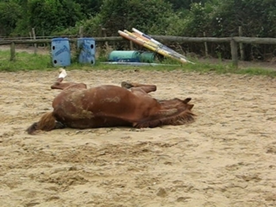 29 juin 2007 015