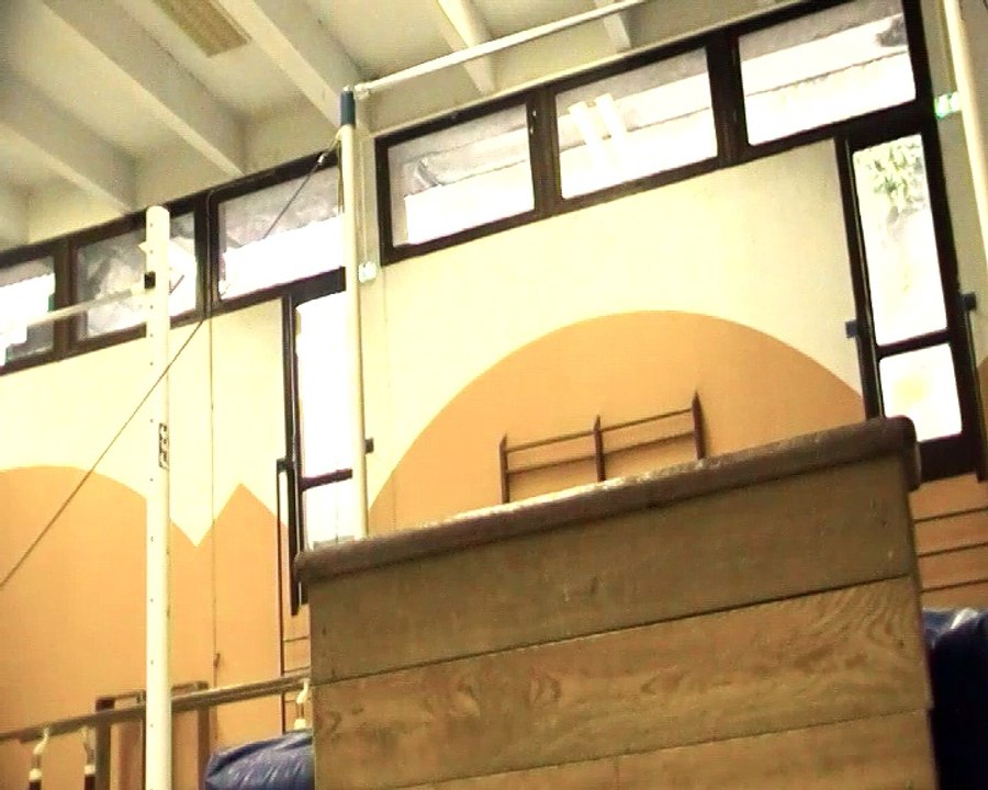 Henri Mauriès Salto Acrobatie en Hauteur