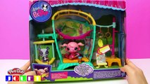 Magic Fun Dough Pet Shop Littlest Pet Shop Pâte à modeler et Poupées LPS  Playset Unboxing