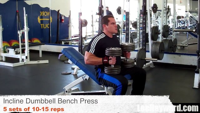 Upper CHEST Workout with Dumbbells