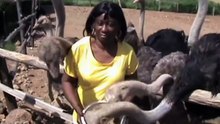 Close Encounters With The Animal Kind!