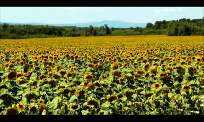 Sveto Tulic & Slaven Vujicic,,,NOVO-2016-Derventa moj grad.