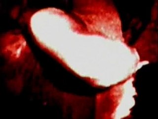 all traitors must die