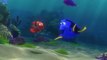 Marine Biologists Worry 'Finding Dory' Might Create an Endangered Species