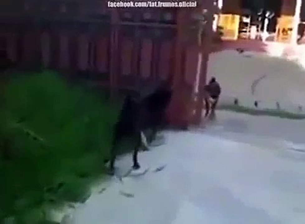 Bloodbath avoided by the fence