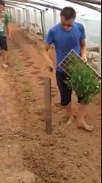 New Innovation in Planters