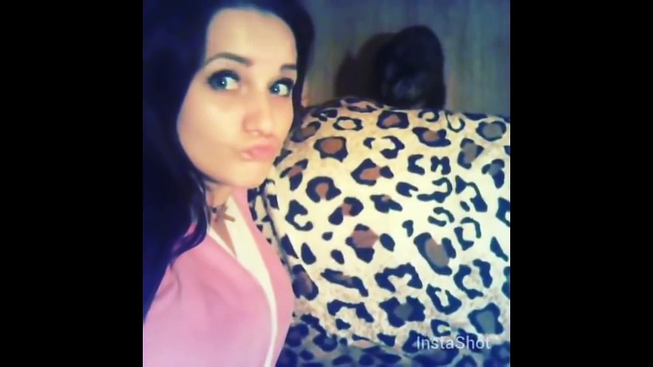 Funny Cats Compilation 2016