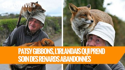 Patsy Gibbons, l'Irlandais qui prend soin des renards abandonnés