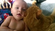 Who said cats can't love? Cat gets all cuddly with cute baby