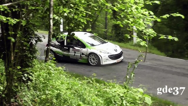 Saint Emilion 2016 Reynald MOINET (GDE37)