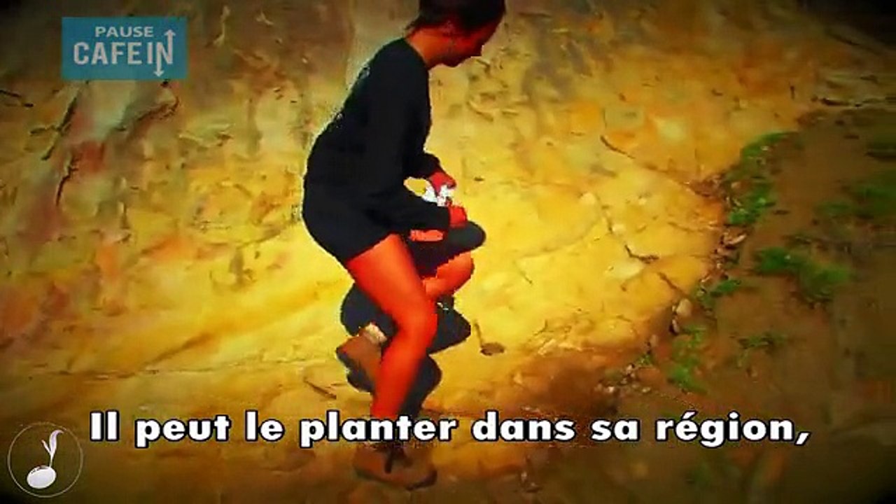 Bonne idée!