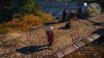 The Witcher 3 Wild Hunt BUG