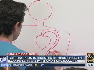 Students' "hands-on" experience could one day help your heart
