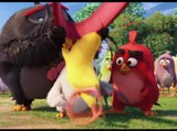 ANGRY BIRDS MOVIE review — Why are these birds so angry?