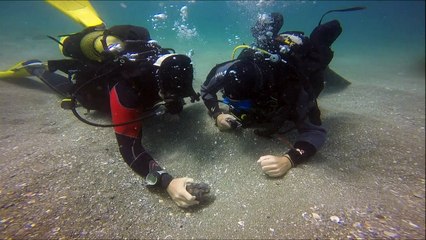 Hallan restos arqueológicos en costas de Israel