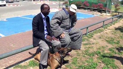 Chien dressé contre les attaques au couteau