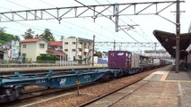 EF210-113　下りコンテナ貨物列車番号不明　西条2012.05.29
