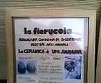 Greve in Chianti 29/09/08