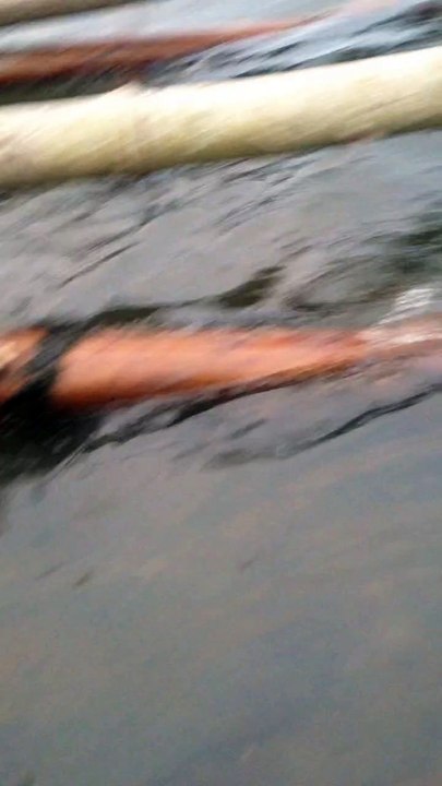 walking through the sea