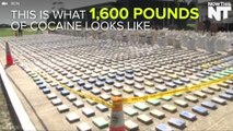 The Colombian Government Seized 1,600 Pounds of Cocaine