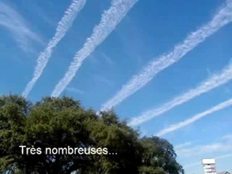 ses fils de putes nous gaz comme des insectes et personnes fait rien ces quoi le délire faut m'expliquer vous vous en tapez d'etres considérer comme de la merdes ou quoi