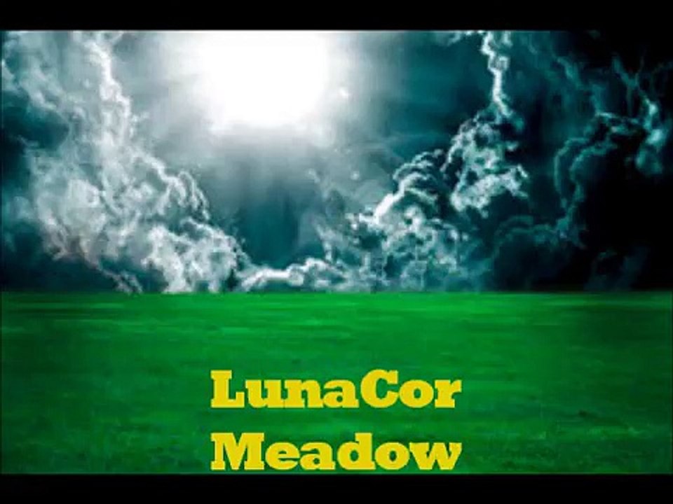 the meadow