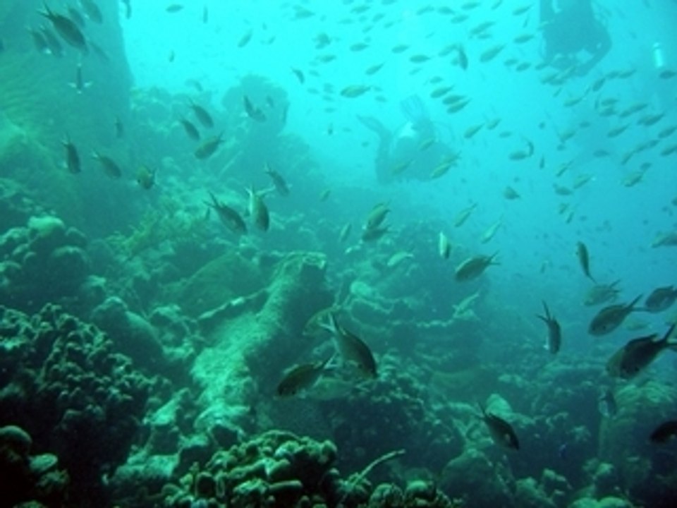 Aruba