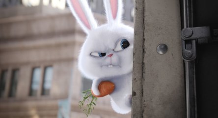 The Secret Life of Pets (2016) Full Movie HD 1080p