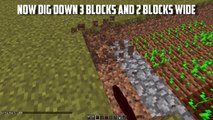 How to Make an Automatic Wheat Farm in Minecraft (1.9)