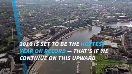 2016 is shaping up to be the hottest year on record