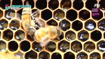식품을 탐하다.E08.160517