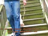 German Shorthaired Pointers Molly Sit Stay Heel on Stairs at 11 weeks wmv