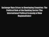Read Exchange Rate Crises in Developing Countries: The Political Role of the Banking Sector