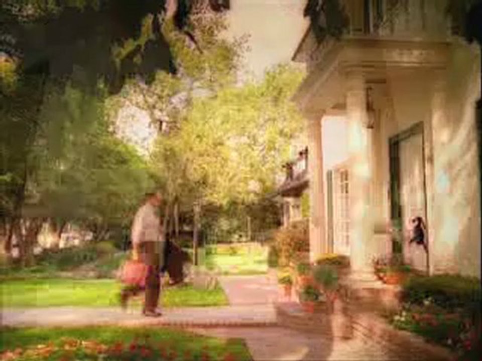 Chiot Labrador qui a la forme !