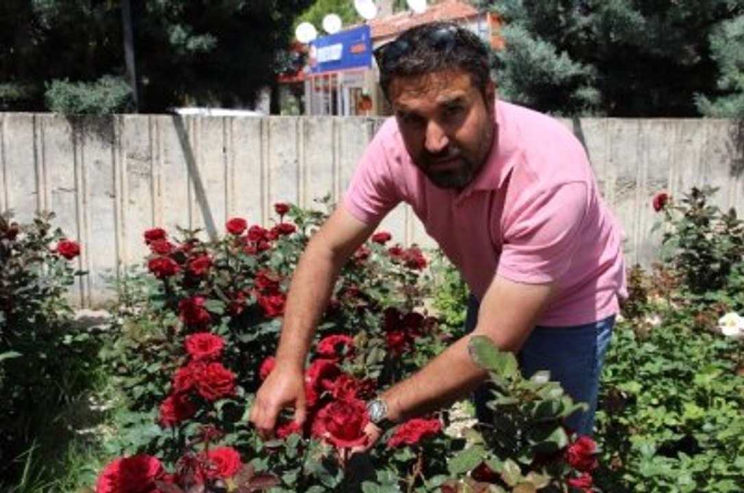 Terör Turizmi Vurdu, Turizmciler Meslek Değiştirdi