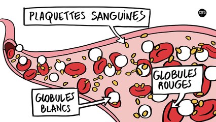 Un laboratoire sur puce pour produire des plaquettes sanguines
