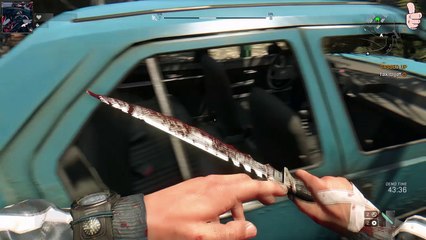 DZ EP4.Buscando un hogar