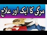 Epilepsy - Mirgi Ka Ilaj - Epilepsy Treatment in urdu hindi