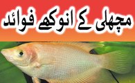 Fish benefits - Machli ke anokhe fawaid - Fish Benefits in urdu hindi