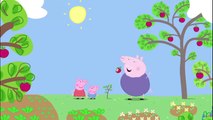 Peppa Pig English Episodes (2016) - Growing Strawberries
