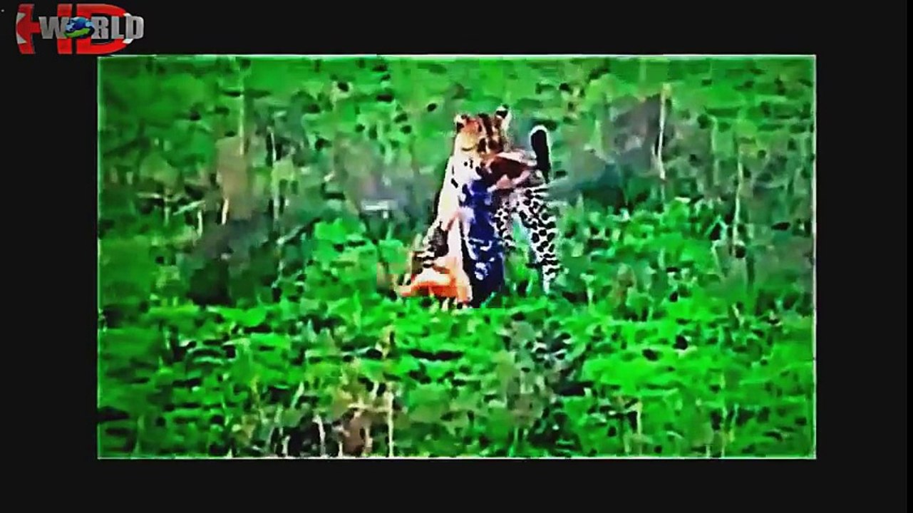 Cuộc chiến giữa các loài động vật - Thế giới hoang dã