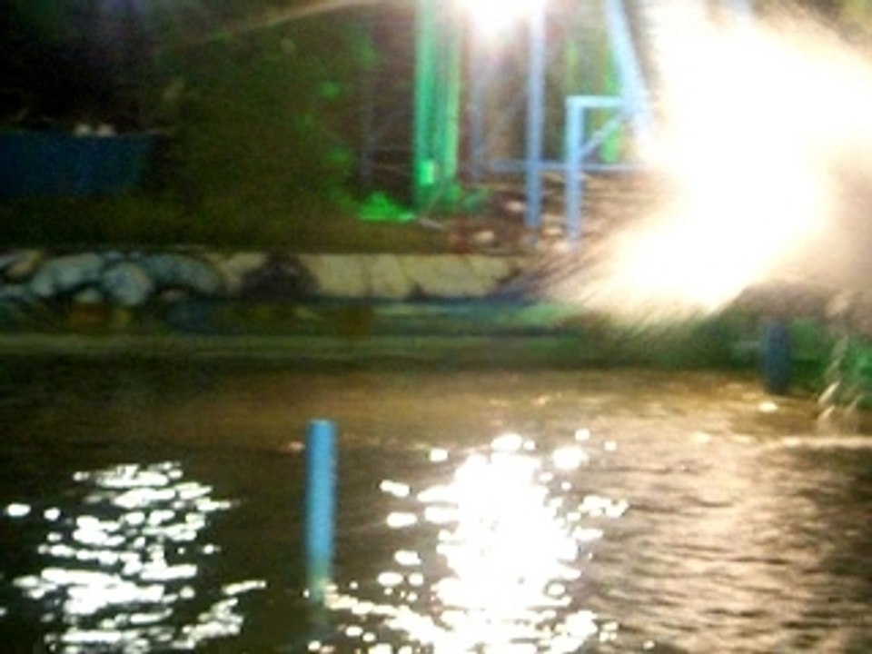 rhoum en panik