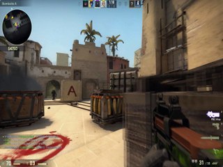{CSGO} Can't have two Franks - HACKS - Was I Really Tho (DocuTäge)