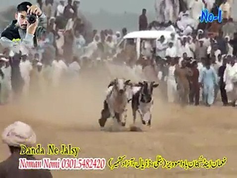 T.A.M.A.S.H.A 1st Number at Narali